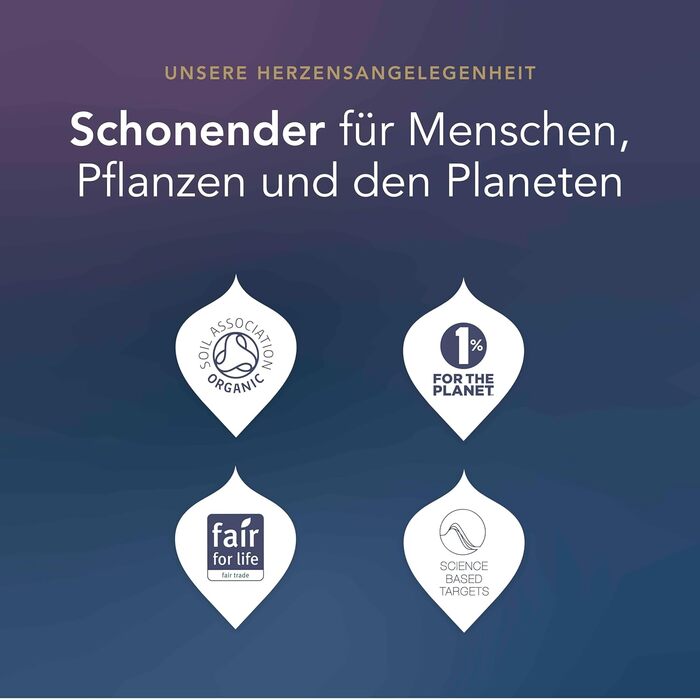 Адвент-календарь 2024, 24 чайных пакетика 12 видов чая Pukka