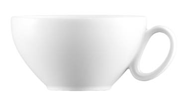Чашка для чаю 0.21 л біла Paso Seltmann