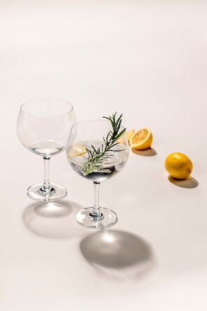 Набор бокалов для джин-тоника 0,7 л, 4 предмета Bar Special Schott Zwiesel