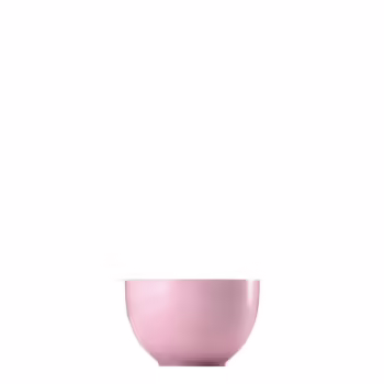 Пиала 0,45 л розовая Sunny Day Light Pink Thomas