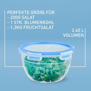 Набір контейнерів для зберігання продуктів EMSA Clip & Close, прямокутні, 5 x 0,8 л, коробки для зберігання, 100 герметичні, придатні для миття в посудомийній машині, морозильної камери та мікрохвильової печі, прозорі, сині, зроблені в Німеччині, N10307 (