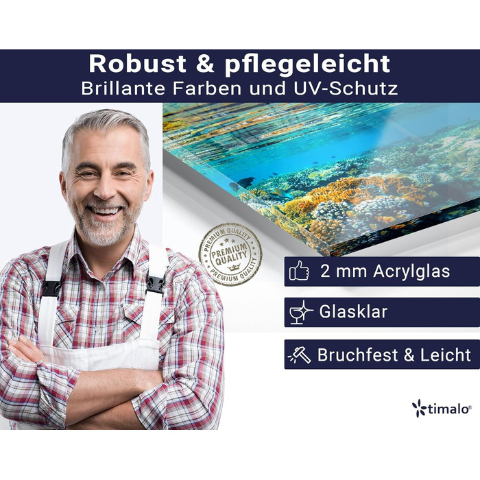 Кухонний фартух timalo зі скляним виглядом Північне море, очерет, захід сонця, океан, солома 2-мм акрилове скло Бризкозахисна стінка для плити, скляний кухонний фартух, акрилові скляні стінові панелі, захисна панель для фартуха (220 x 58 см, 311- Coral Re