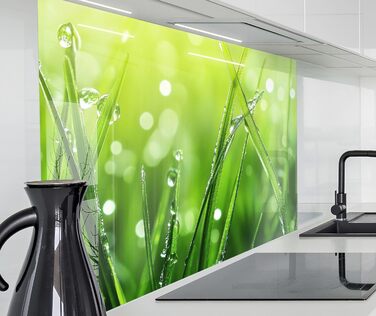 Кухонний фартух timalo зі скляним виглядом Північне море, очерет, захід сонця, океан, солома 2 мм акрилове скло Бризокості для плити, кухонний скляний фартух, акрилові скляні стінові панелі, захисна панель для фартуха (60 x 60 см, 315- Зелена трава)