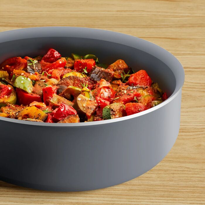 Tefal Saucepan Halo, 24 cm, with lid, aluminum, bakelite, glass, gray