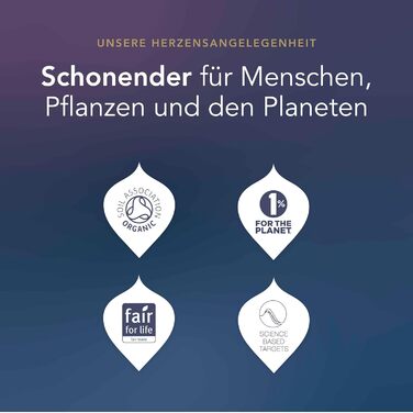 Адвент-календарь 2024, 24 чайных пакетика 12 видов чая Pukka