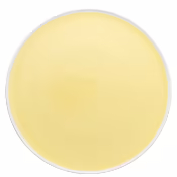 Тарілка 32 см, жовта ONO friends Yellow Thomas