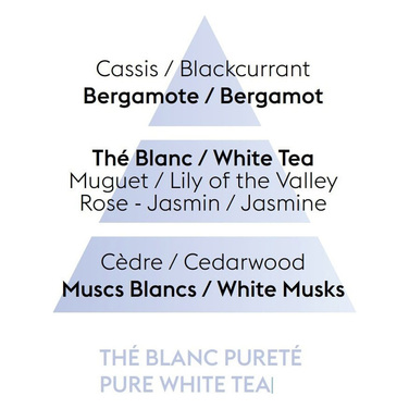 Аромат для лампы Maison Berger Paris PURE WHITE TEA, 500 мл