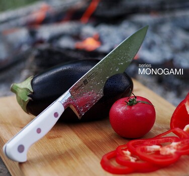 Кухарський ніж Fissman MONOGAMI 20 см (2492)