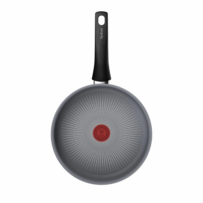 Tefal Saucepan Halo, 24 cm, with lid, aluminum, bakelite, glass, gray