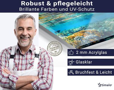 Кухонний фартух timalo зі скляним виглядом Північне море, очерет, захід сонця, океан, солома 2-мм акрилове скло Бризкозахисна стінка для плити, скляний кухонний фартух, акрилові скляні стінові панелі, захисна панель для фартуха (220 x 58 см, 311- Coral Re