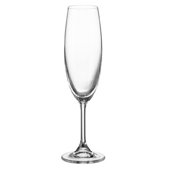 Фужеры для шампанского 220 мл, набор 6 предметов, 1687 Lara BOHEMIA