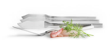 Набір ножів для риби 22 см 4 предмета Sagaform
