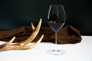 Набір з 2 келихів для червоного вина Шираз 631 мл, Performance Riedel
