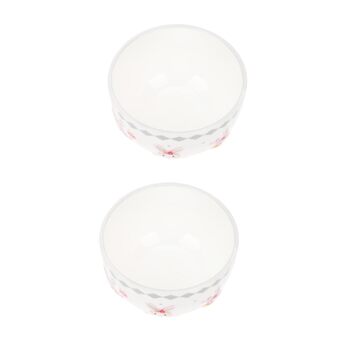 Керамічні миски з візерунком зайчика 2 шт ABOOFAN