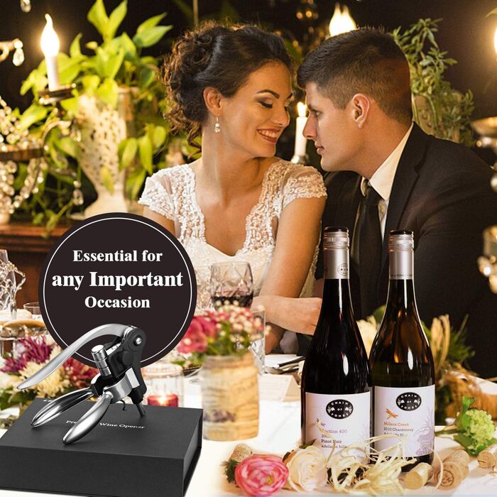 Подарунковий набір для вина 5 предметів TFORT