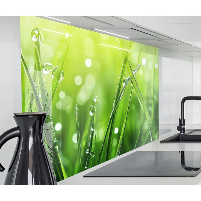 Кухонний фартух timalo зі скляним виглядом Північне море, очерет, захід сонця, океан, солома 2 мм акрилове скло Бризокості для плити, кухонний скляний фартух, акрилові скляні стінові панелі, захисна панель для фартуха (60 x 60 см, 315- Зелена трава)