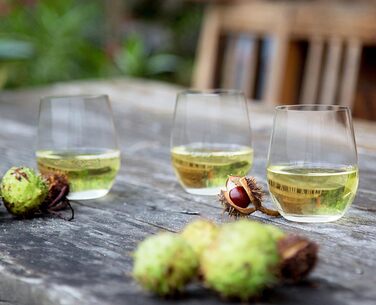 Колекція O Wine Tumbler від Riedel