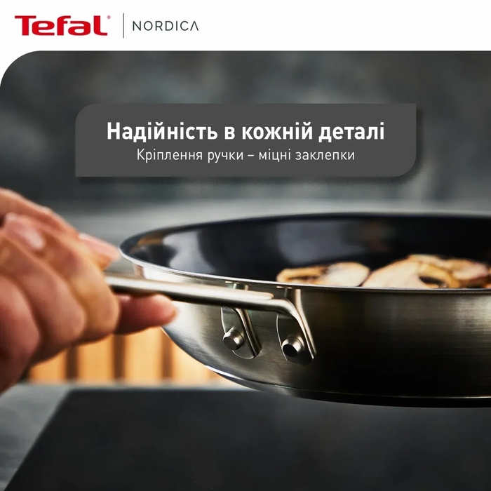 Tefal Сковорода Nordica, 20см, нержавіюча сталь