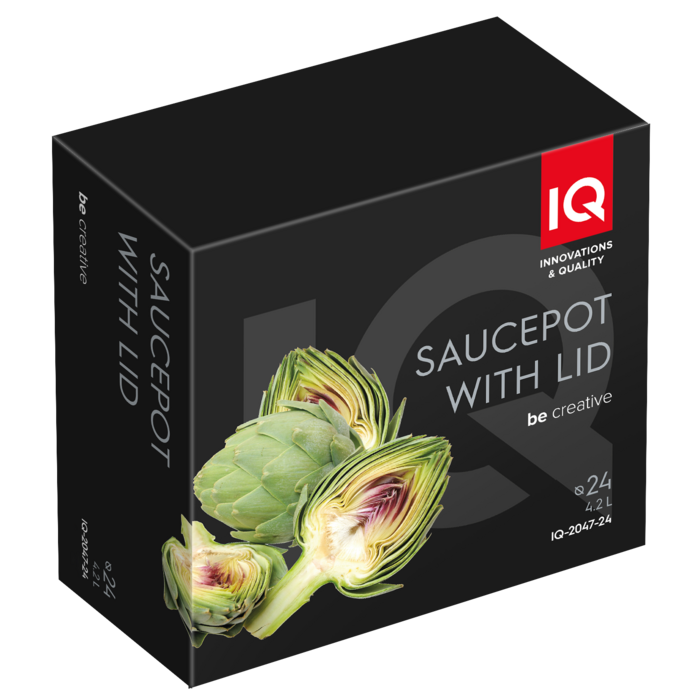 Кастрюля IQ Be Creative (4.2 л) 24 см (6996296)
