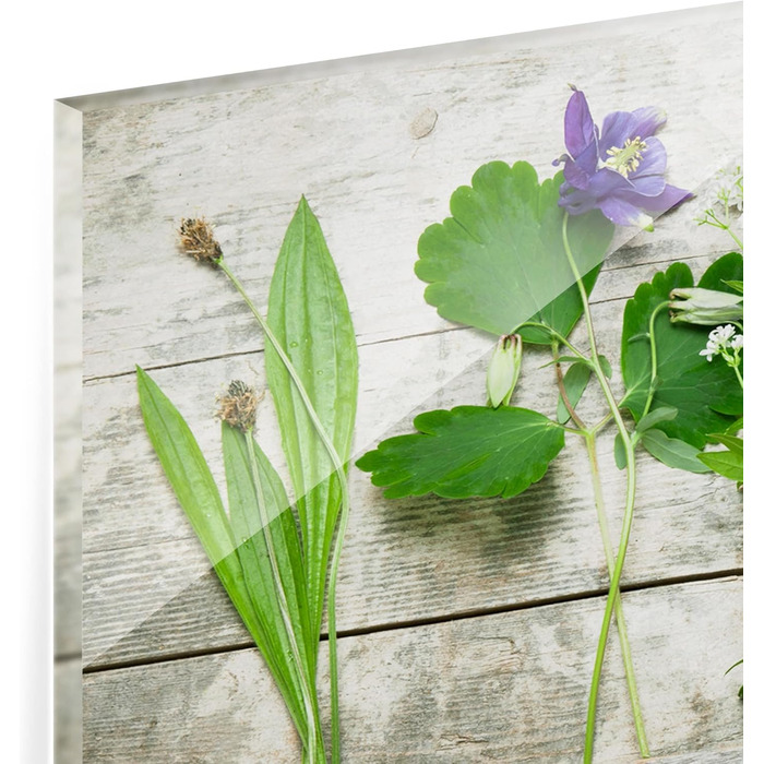 Скляний фартух із зображенням трав 125 х 50 см Bilderwelten